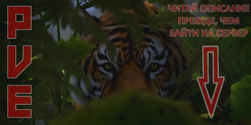 [RU][PvE] Amateur Full Classic | Для новичков